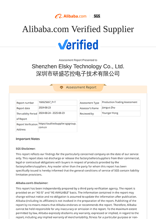 Supplier Assessment Report-Shenzhen Elsky Technology Co., Ltd._01